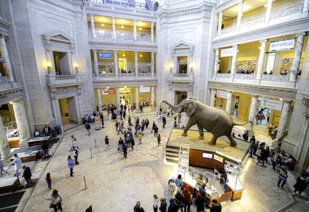 Picture of Community of Smithsonian Museum by The Remembrance Society