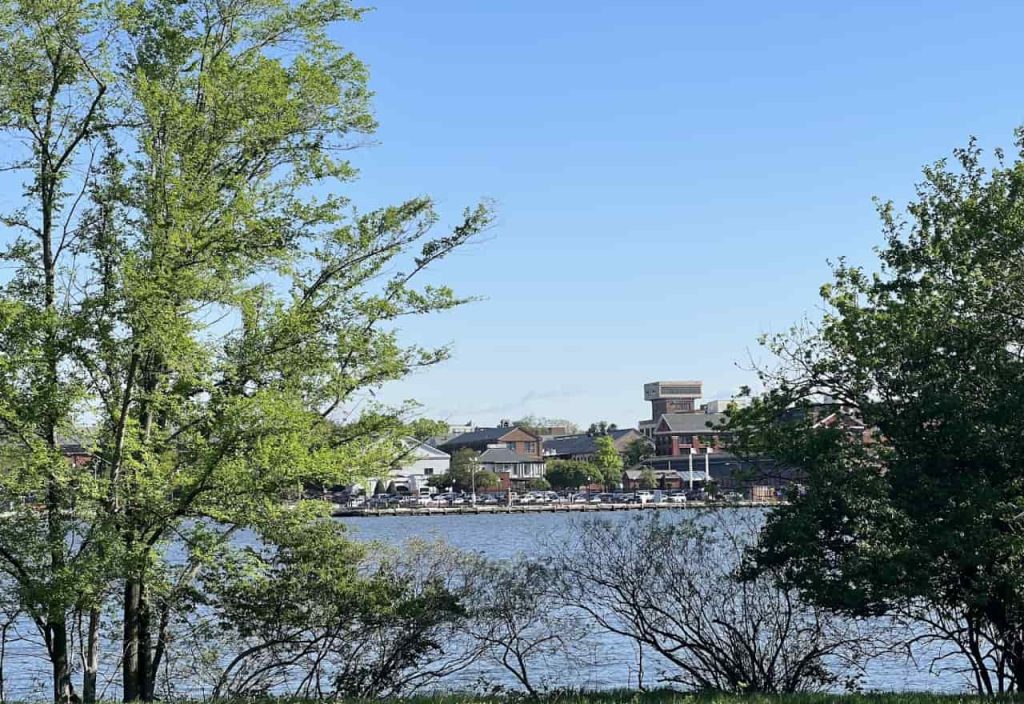 Thumbnail Picture of Local 014 Anacostia Washington DC by The Remembrance Society