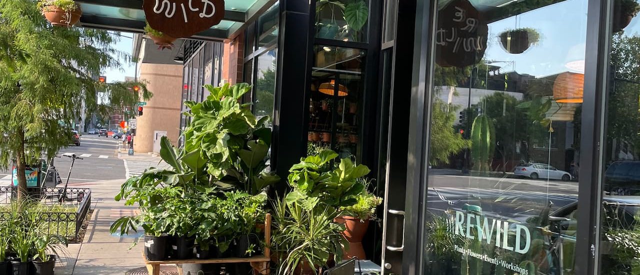 Image-For-Shaw-Green-Vibrant-Sidewalks-By-The Remembrance Society