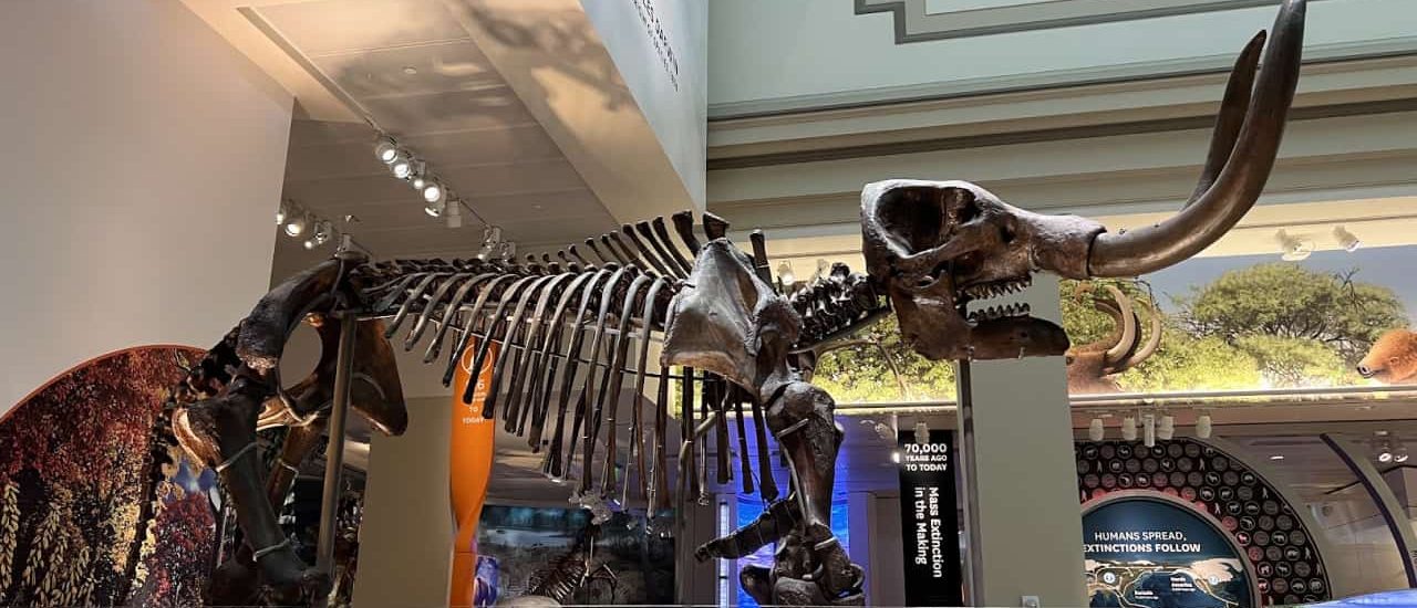 Picture of Culture of Smithsonian Museum by The Remembrance Society