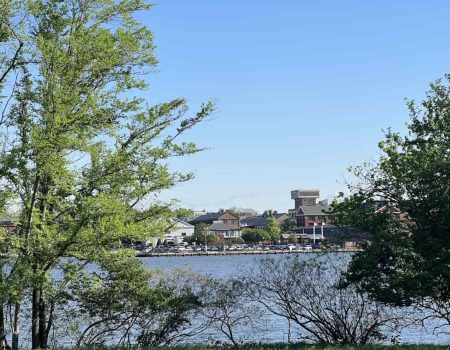 Thumbnail Picture of Local 014 Anacostia Washington DC by The Remembrance Society